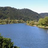 1907G 068 Mosel und Rhein